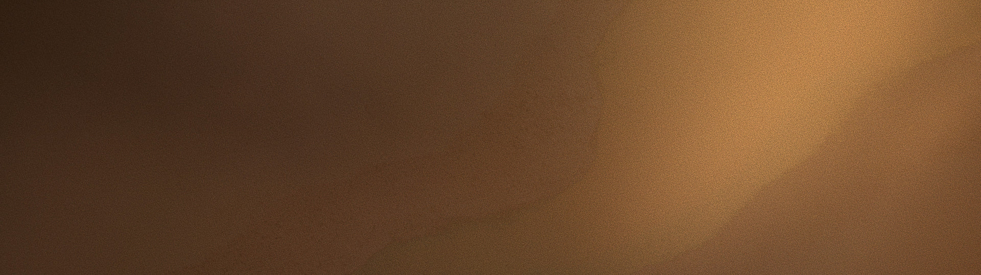 <span>Program Tiers</span> <i>& Pricing</i>